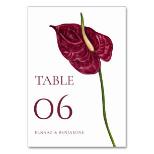 Minimal Watercolor Anthurium Floral Wedding Table Number
