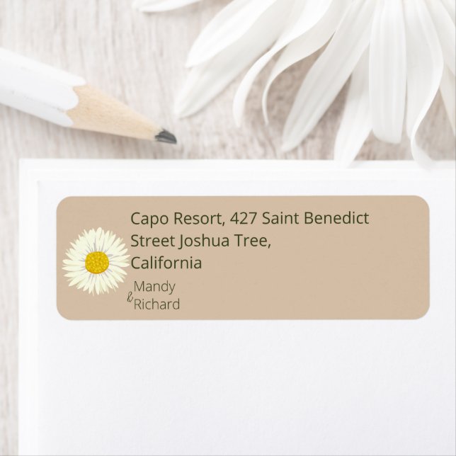 Minimal White Daisy Flowers on Beige Background (Insitu)