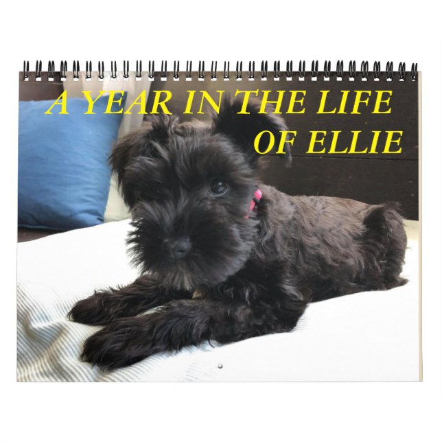 Minimalism  Calendar  ANY YEAR/SIZE/COLOR/DESIGN (Cover)