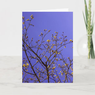 Minimalism nature spring bud burst renewal card