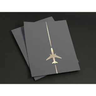 Minimalist Aviation Flyer