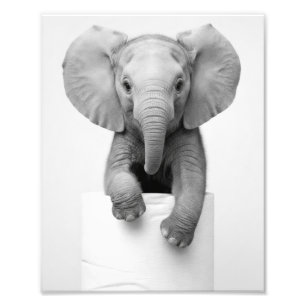Minimalist Baby Elephant Peeking Over Toilet Paper Photo Print