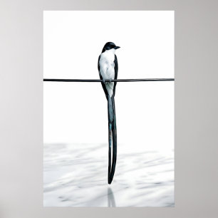 Minimalist Bird on Wire Photography Poster