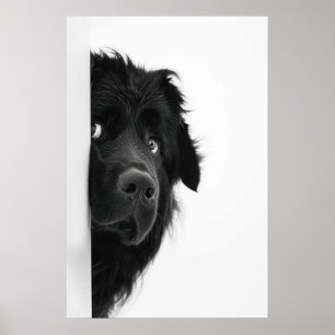 Minimalist Black and White Dog Portrait – Modern D Poster