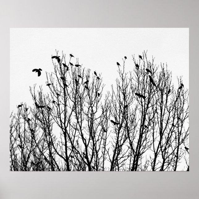 Minimalist Black and White Photo of Birds in Trees Poster (Front)