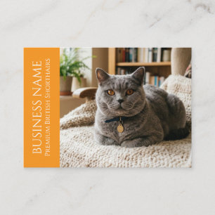 Minimalist British Shorthair Customizable Business Card