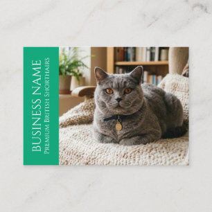 Minimalist British Shorthair Customizable Business Card