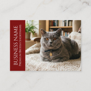 Minimalist British Shorthair Customizable Business Card