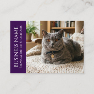 Minimalist British Shorthair Customizable Business Card
