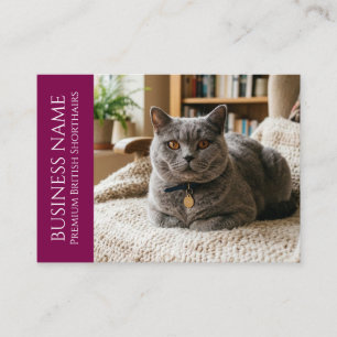 Minimalist British Shorthair Customizable Business Card