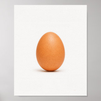 Minimalist Brown Egg Photography Poster