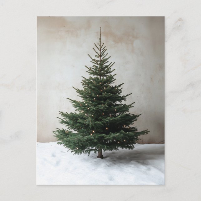 Minimalist Christmas Tree with Soft Lights on Snow Postcard (Front)