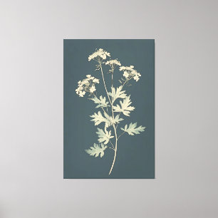 Minimalist Cilantro Leaves  Canvas Print