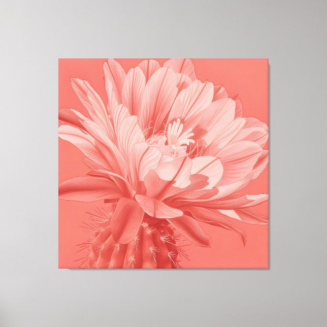 Minimalist Coral Cactus Bloom Canvas Print (Front)