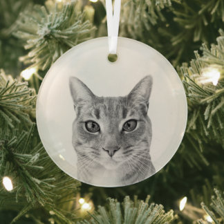 Minimalist Create Your Own Custom Pet Photo B & W Glass Ornament