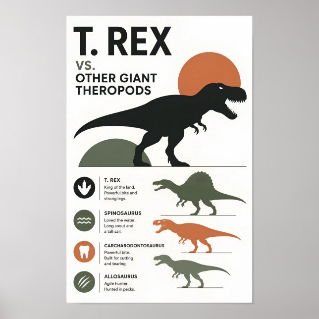 Minimalist Dinosaur Comparison Educational  Poster (Front)