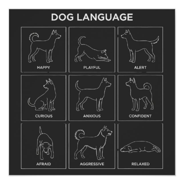 Minimalist Dog Body Language & Behaviour Chart (Front)