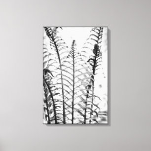 Minimalist Fern Leaves Black and White Botanical Canvas Print