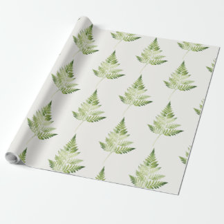 Minimalist Green Fern Botanical Illustration Wrapping Paper