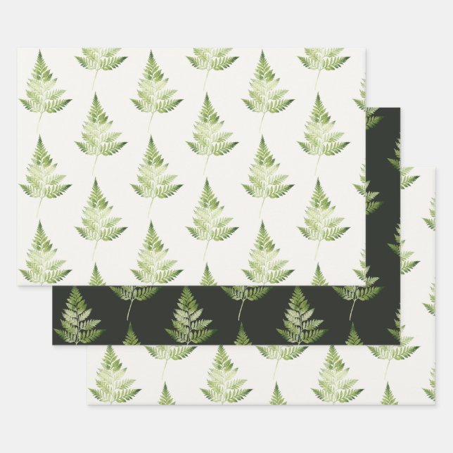 Minimalist Green Fern Botanical Illustration Wrapping Paper Sheet (Set)