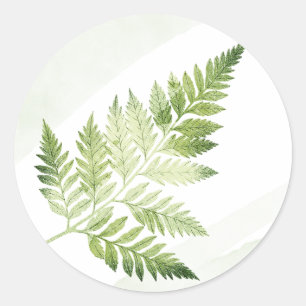 Minimalist Green Fern Wedding Classic Round Sticker