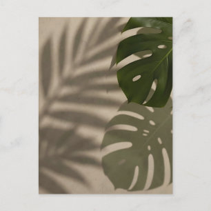 Minimalist Green Monstera Leaf Tropical Shadow Postcard