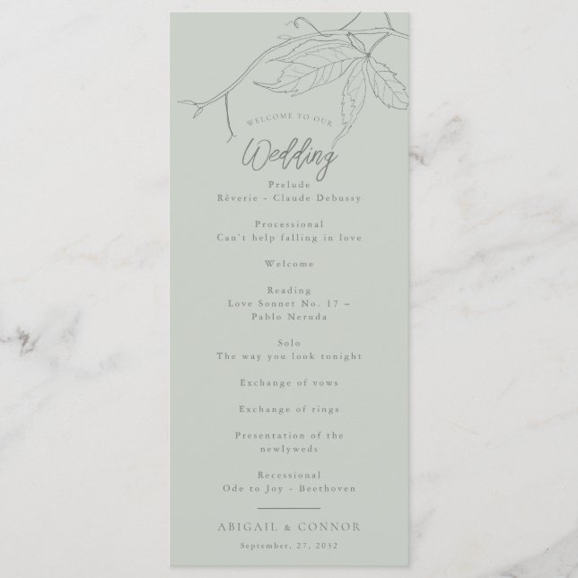 Minimalist Hand-drawn Vines Sage Green Grey Program (Front)