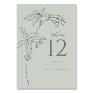 Minimalist Hand-drawn Vines Sage Green Grey Table Number