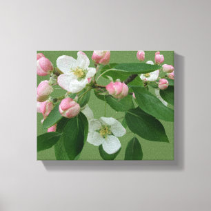 Minimalist hot pink Dutch tulips flower digital  C Canvas Print