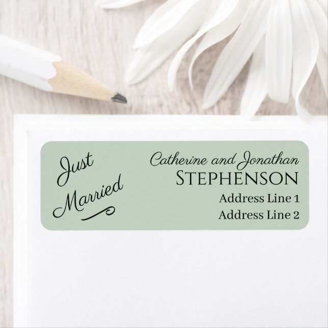 Minimalist Just Married Return Address Labels (Insitu)