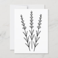 Minimalist Lavender Sprigs Botanical Line Art 