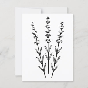 Minimalist Lavender Sprigs Botanical Line Art  Postcard