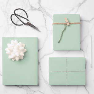 Minimalist Light Celadon Green Plain Solid Colour  Wrapping Paper Sheet
