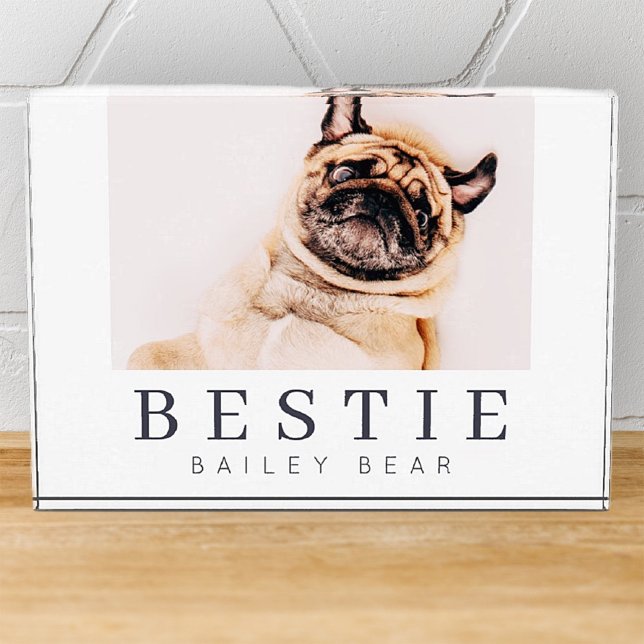 Minimalist Modern Chic Pet Bestie BFF Photo (Creator Uploaded)