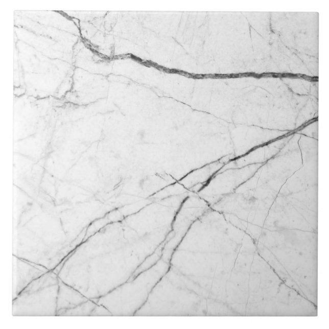 Minimalist modern marble look tile (Front)