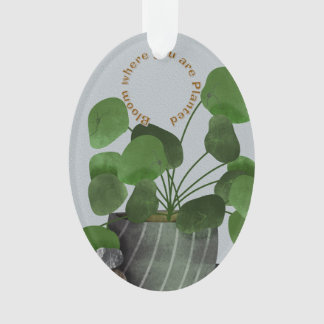 Minimalist Money Plant - Acrylic Oval Ornament