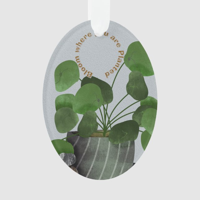 Minimalist Money Plant - Acrylic Oval Ornament (devant)