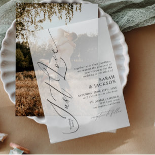 Minimalist Nothing Fancy Just Love Modern Wedding Vellum Invitations