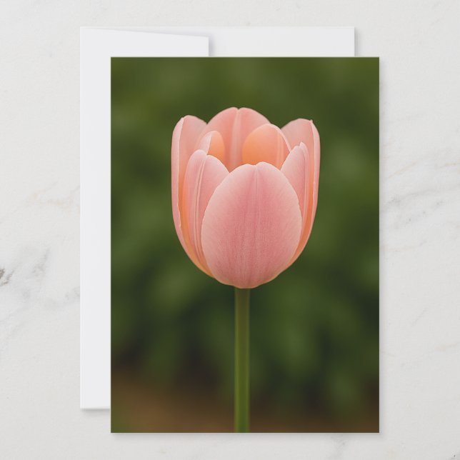 Minimalist One‑Flower Thank You Card  (Front)
