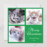 Minimalist Photo Grid Merry Christmas Green Card<br><div class="desc">Add three (3) of your own family images to create a square Merry Christmas minimalist solid colour green background flat greeting card. You can customize the background, text, and Merry Christmas text graphic with the colours that you choose. The sample photos are cute kittens. Add your own pictures. On this...</div>