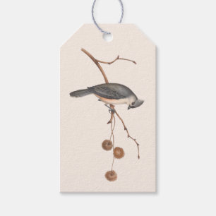 Minimalist Pink and Grey Bird Winter Gift Tag