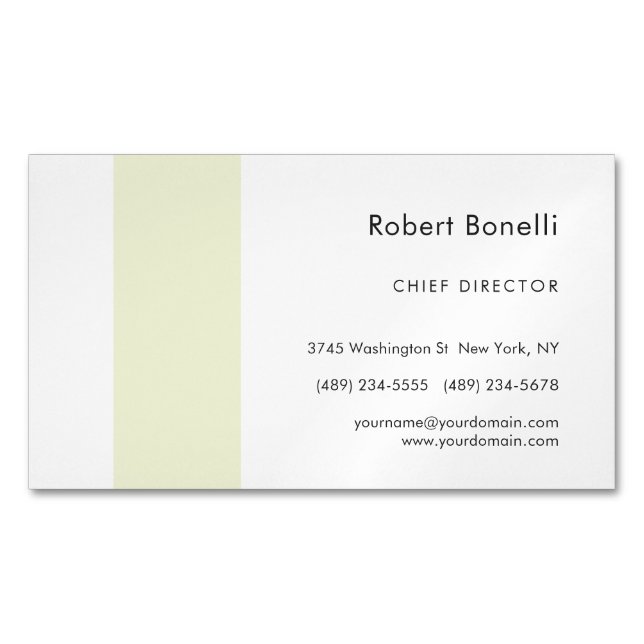 Minimalist Plain Modern Magnetic Business Card (Front)