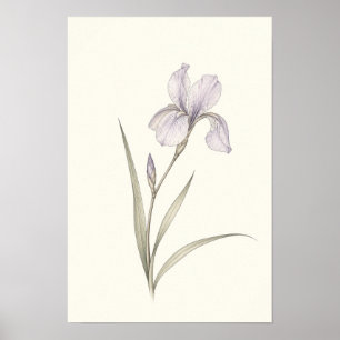 Minimalist Purple Iris Botanical Wall Art