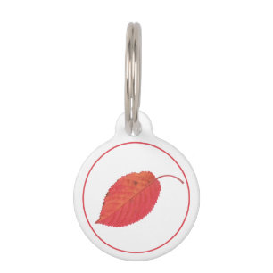 Minimalist Red Autumn Leaf And Pet's Info Pet Tag