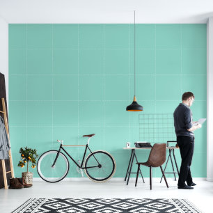 Minimalist robin egg blue plain solid colour moder wallpaper