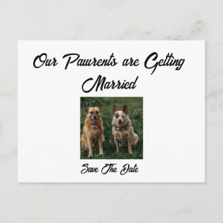 Minimalist Save the Date from the Dogs Announcement Postcard