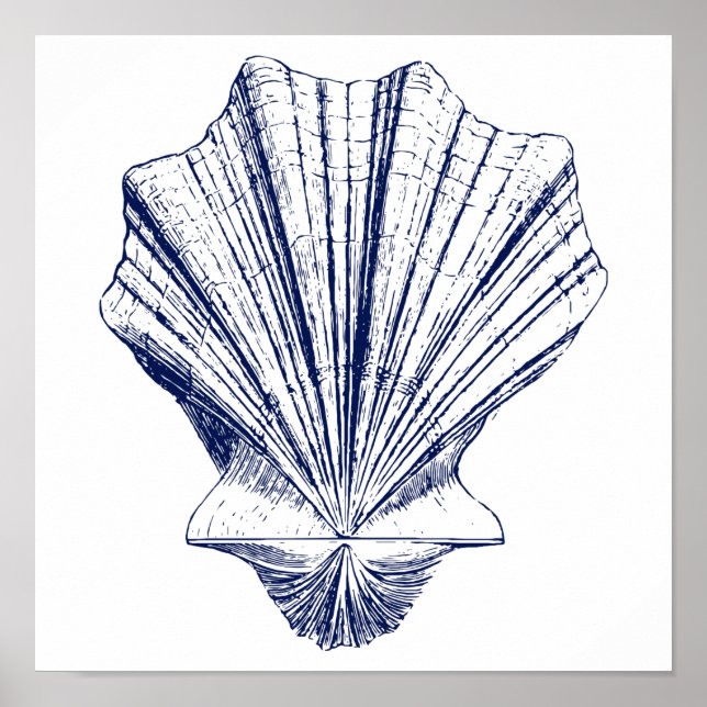 Minimalist Scallop Seashell in Blue Poster (Front)