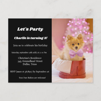 Minimalist Script puppies birthday party Invitation Postcard