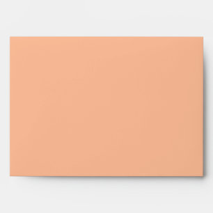 Minimalist Solid Peach Elegant Wedding Matching Envelope