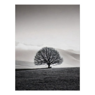 Minimalist Solitary Tree Landscape Black & White Poster